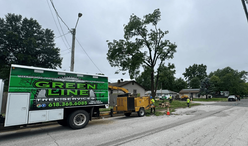 Tree Trimming